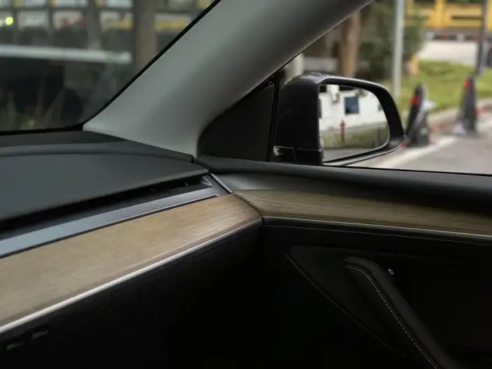 Model Y 2021 Model Standard Battery Life Rear-wheel drive version – фото 7