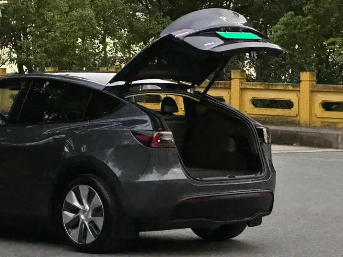 Model Y 2021 Model Standard Battery Life Rear-wheel drive version – фото 10