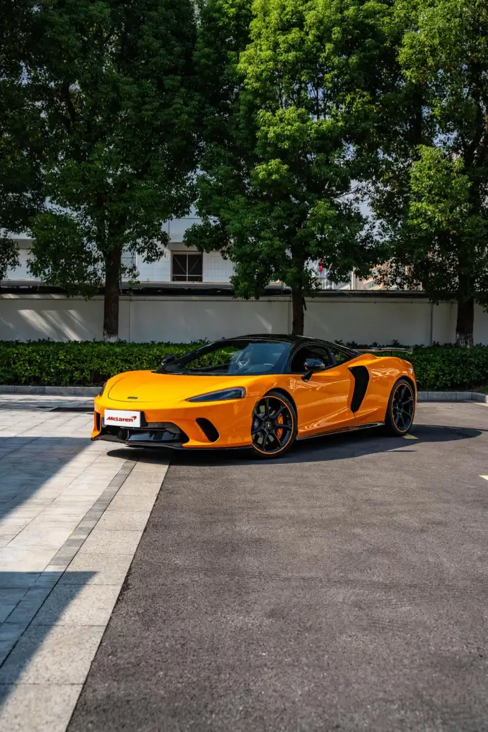 McLaren GT 2019 Model 4.0T Standard Model – фото 1