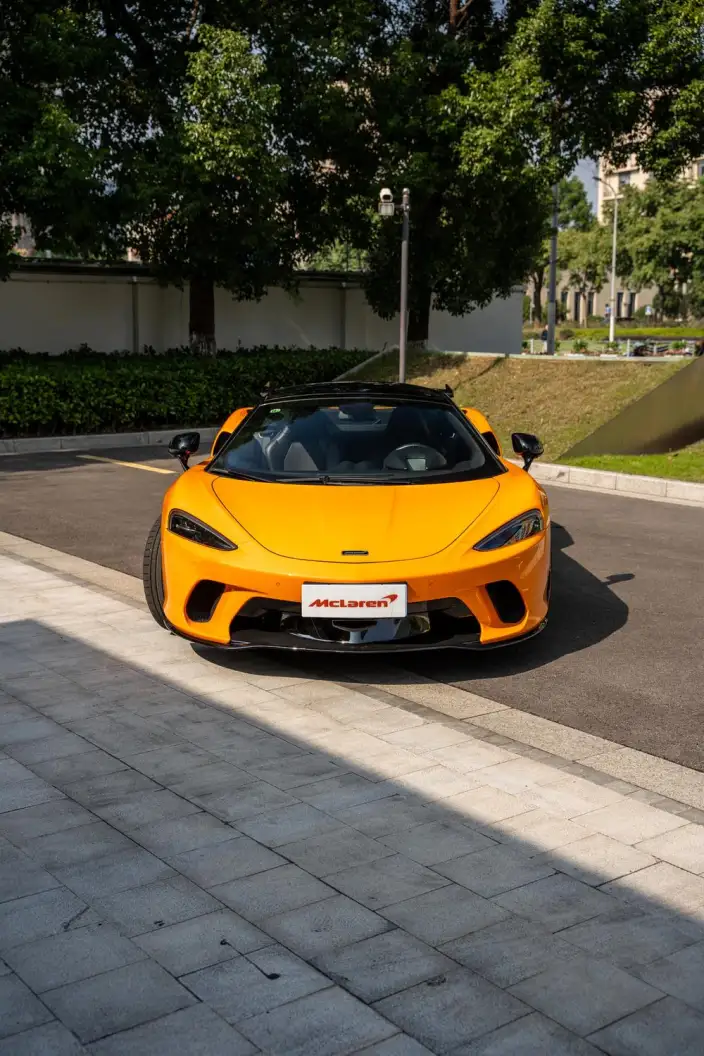 McLaren GT 2019 Model 4.0T Standard Model – фото 2