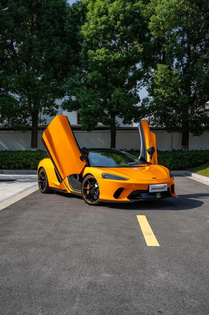 McLaren GT 2019 Model 4.0T Standard Model – фото 3
