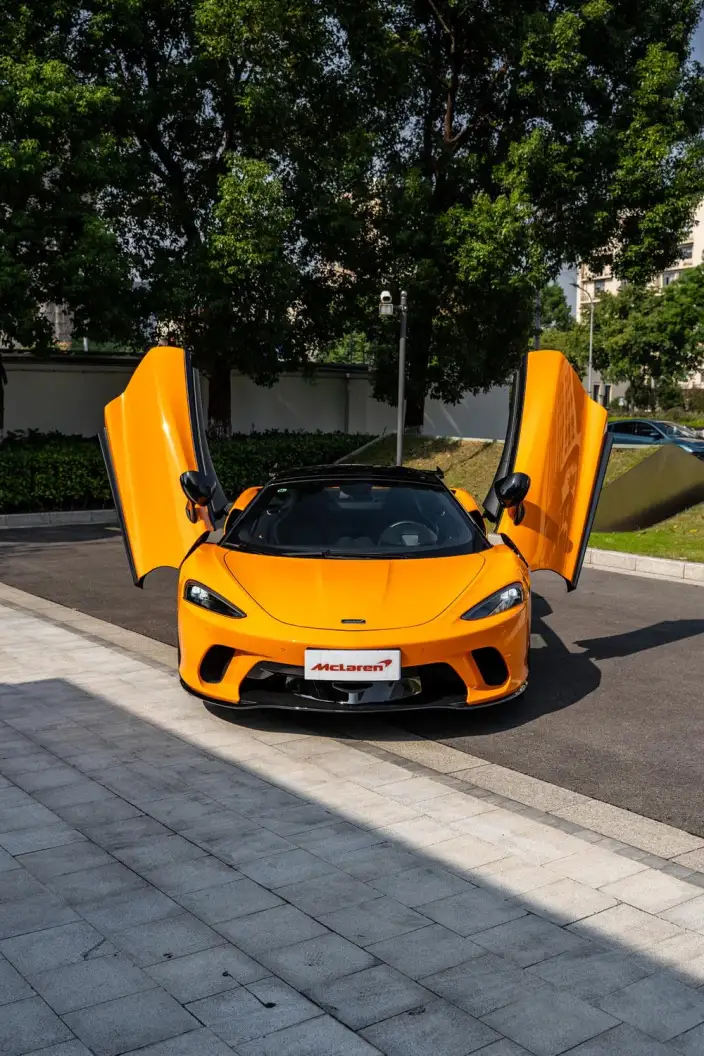 McLaren GT 2019 Model 4.0T Standard Model – фото 4