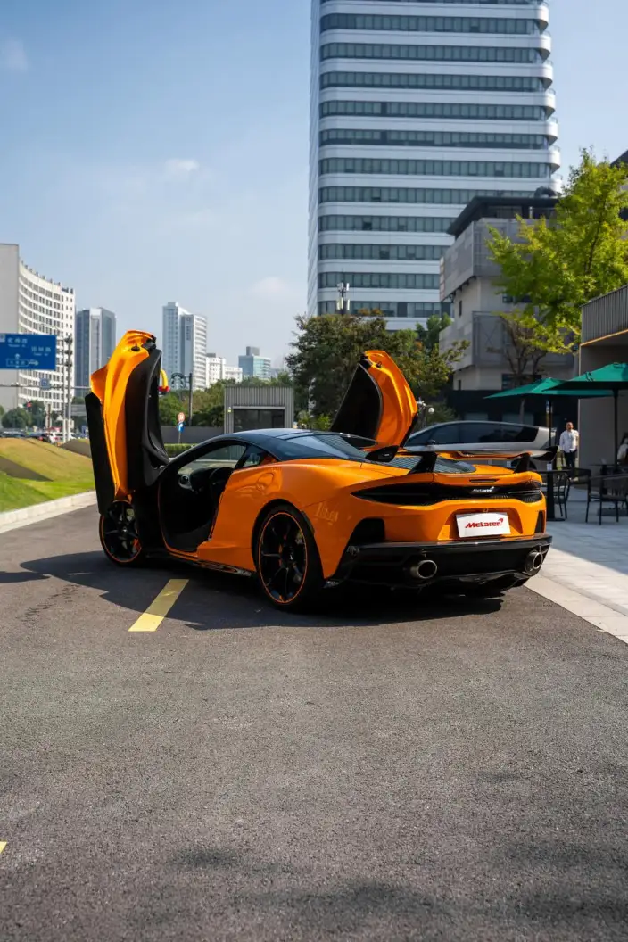 McLaren GT 2019 Model 4.0T Standard Model – фото 5