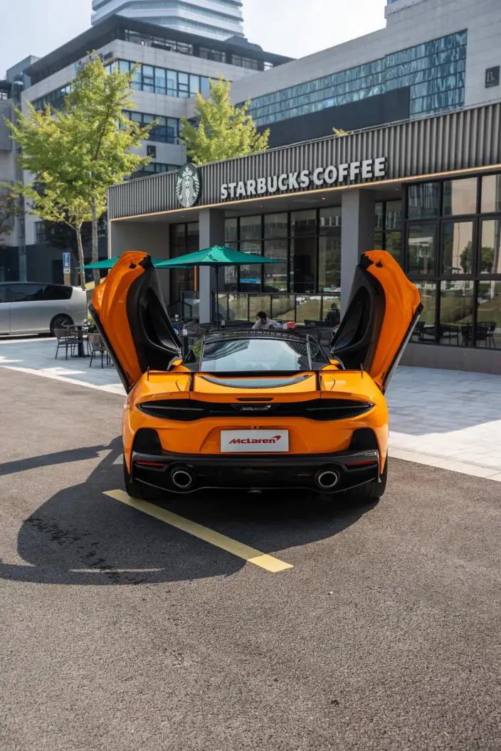 McLaren GT 2019 Model 4.0T Standard Model – фото 6