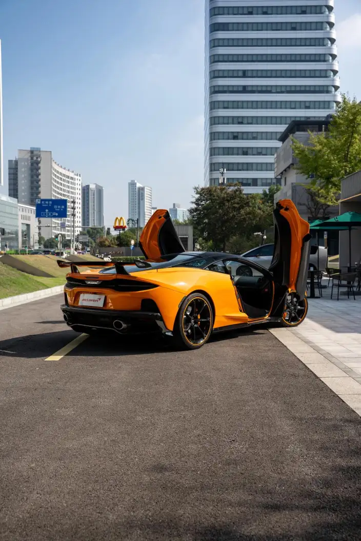 McLaren GT 2019 Model 4.0T Standard Model – фото 7
