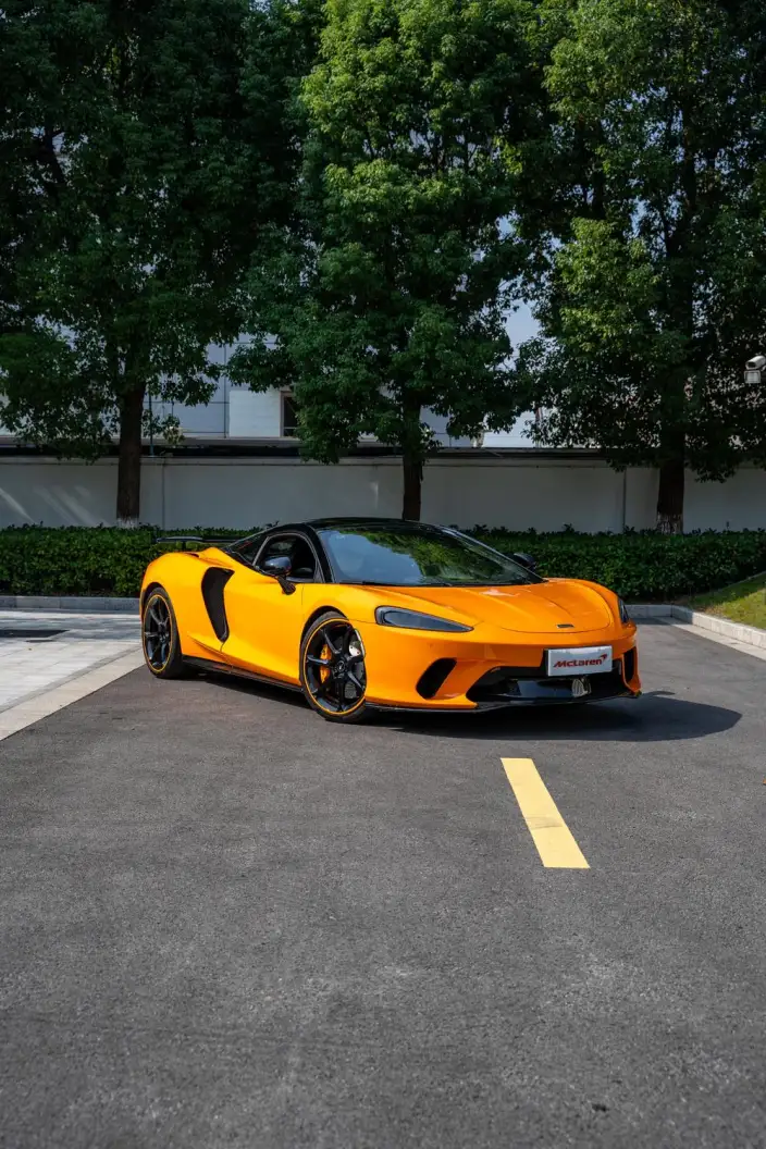 McLaren GT 2019 Model 4.0T Standard Model – фото 8