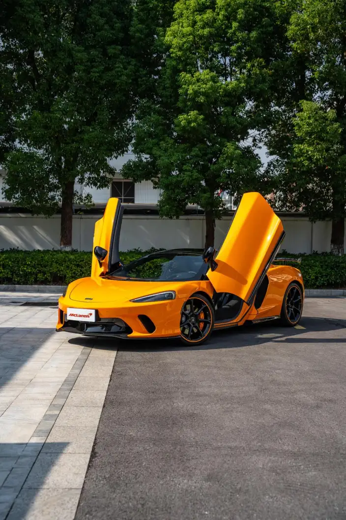 McLaren GT 2019 Model 4.0T Standard Model – фото 9