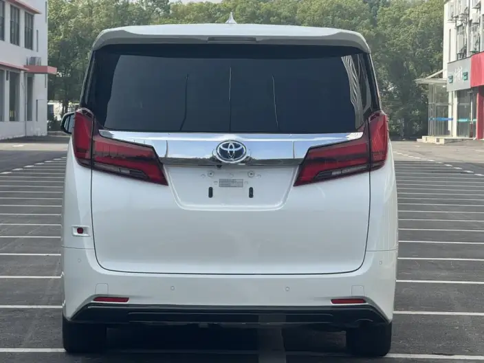 Elfa 2021 Model Hybrid 2.5L Premium Edition – фото 5
