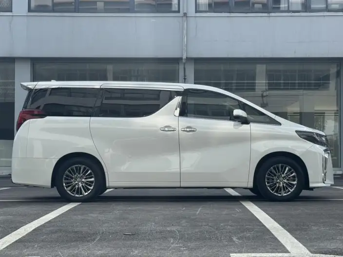 Elfa 2021 Model Hybrid 2.5L Premium Edition – фото 7