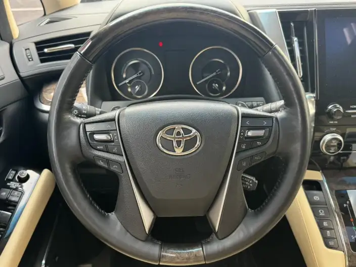 Elfa 2021 Model Hybrid 2.5L Premium Edition – фото 10