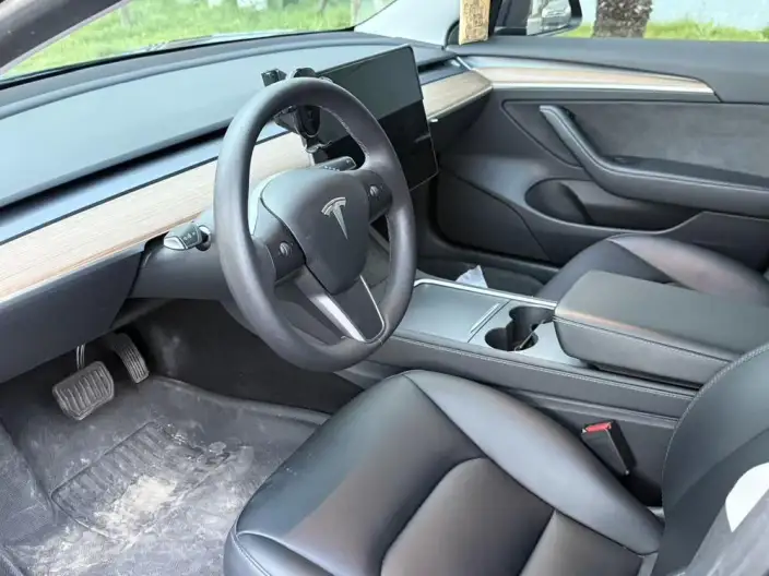 Model 3 2022 Model Rear-wheel drive version – фото 8