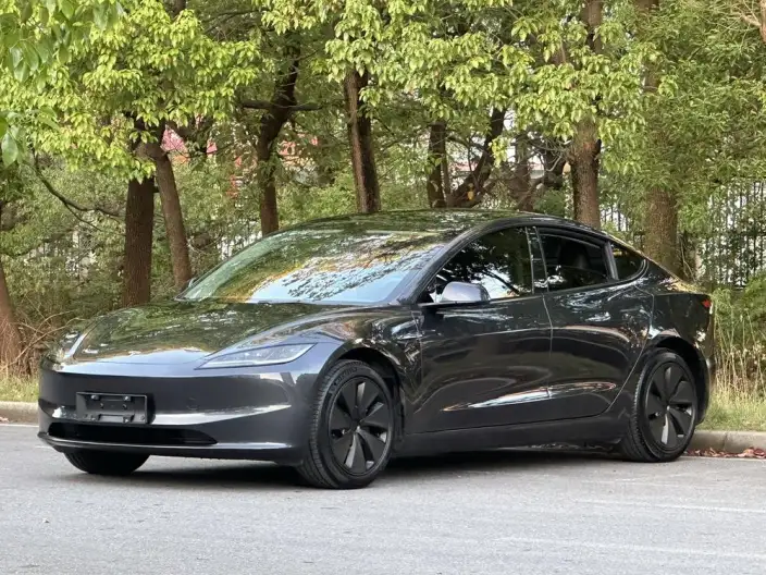 Model 3 2023 Model Rear-wheel drive version – фото 1