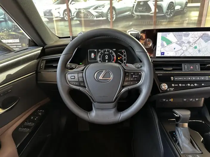 Lexus ES 2024 Model 200 Premium – фото 10