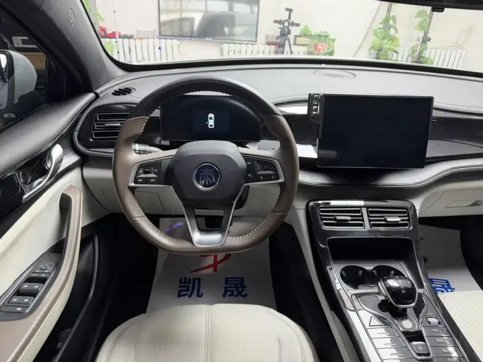 BYD Qin PLUS DM 2024 Model Honor Edition DM-i 55KM Leading Model – фото 8
