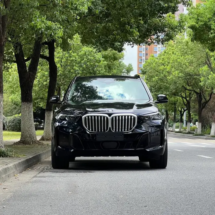 BMW X5 2023 Model xDrive30Li Exclusive Model M Sports Night Set – фото 2
