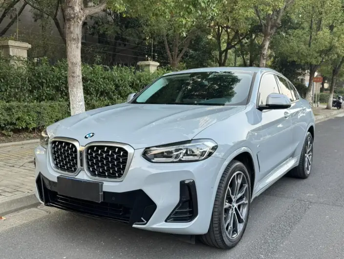 BMW X4 2022 Model xDrive 30i M Sports Set