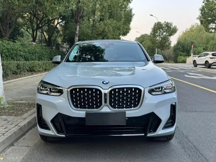 BMW X4 2022 Model xDrive 30i M Sports Set