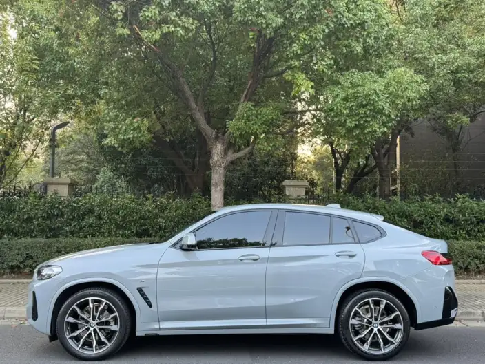 BMW X4 2022 Model xDrive 30i M Sports Set