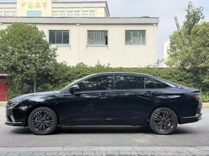 Yixuan Max 2021 Model 1.5T Super Trendy Dad Edition – фото 4