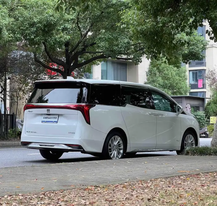 Century 2025 Model 2.0T VI seat Yunshi Edition – фото 7