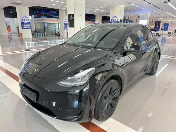 Model Y 2023 Model Rear-wheel drive version – фото 1