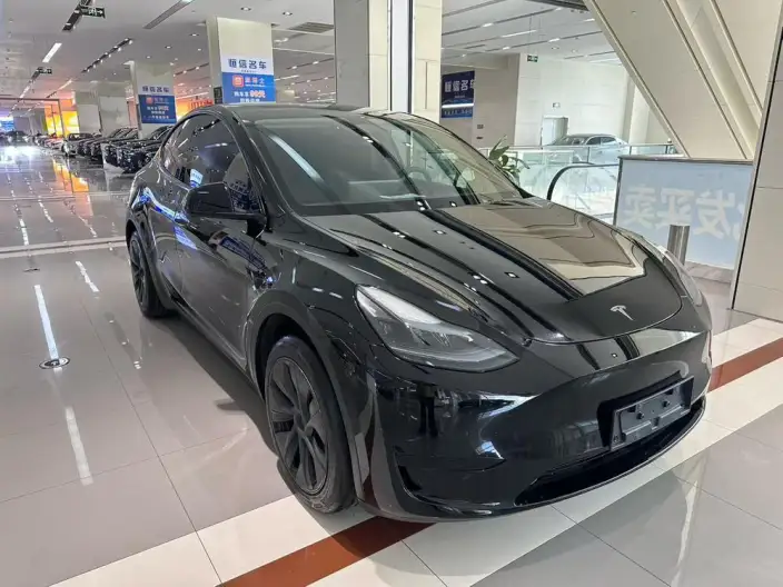 Model Y 2023 Model Rear-wheel drive version – фото 3