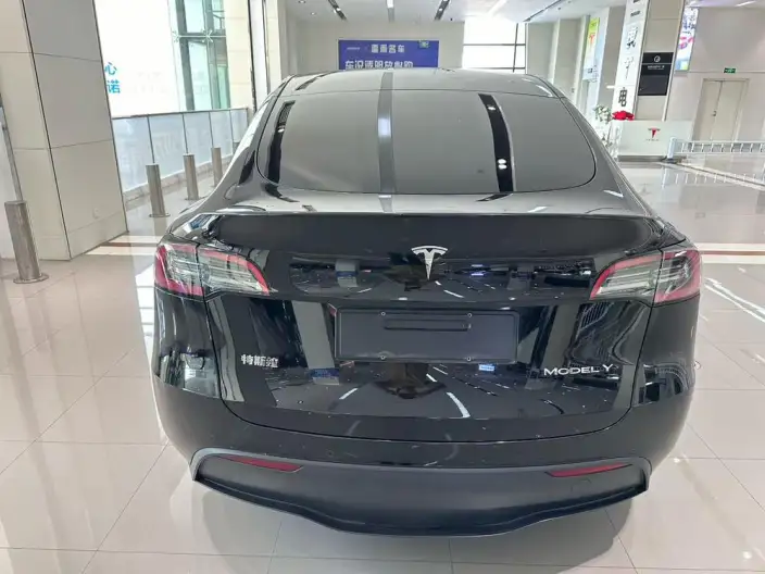 Model Y 2023 Model Rear-wheel drive version – фото 6