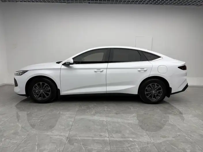 QinL DM 2024 Model DM-i 80KM Leading Model – фото 4