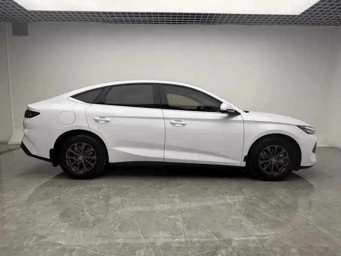 QinL DM 2024 Model DM-i 80KM Leading Model – фото 8