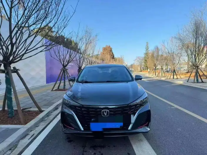 Changan Eado 2022 Model PLUS Blue whale NE 1.4T GDI DCT Noble Model – фото 2