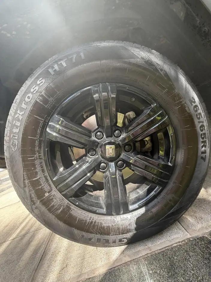Tank 300 2025 Model 2.0T Gasoline Edition Challenger – фото 10