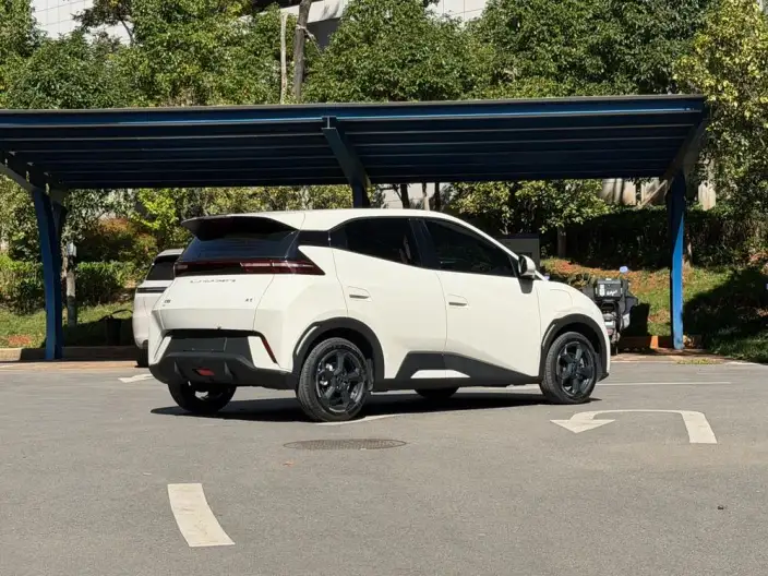 BYD Seagull 2024 Model Honor Edition 305KM Vitality Edition – фото 7