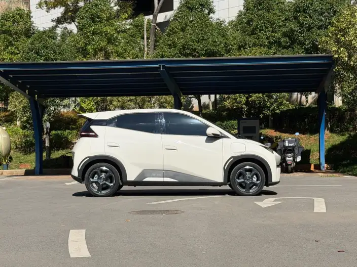 BYD Seagull 2024 Model Honor Edition 305KM Vitality Edition – фото 8
