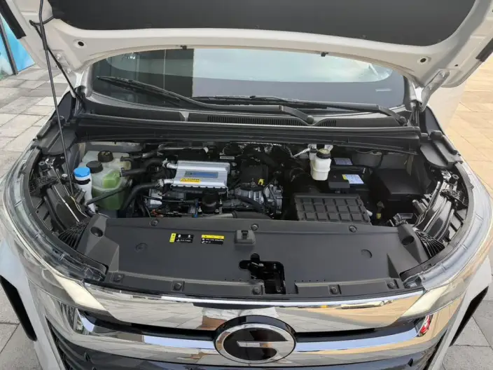 GAC Trumpchi M6 2024 Model MAX 270T WDCT Zunrong Edition – фото 8
