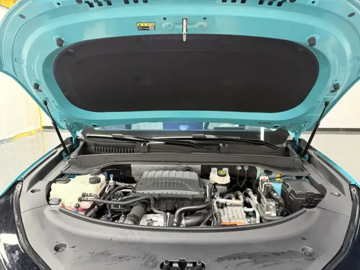 Windcloud T9L 2026 Model 230 Max – фото 10