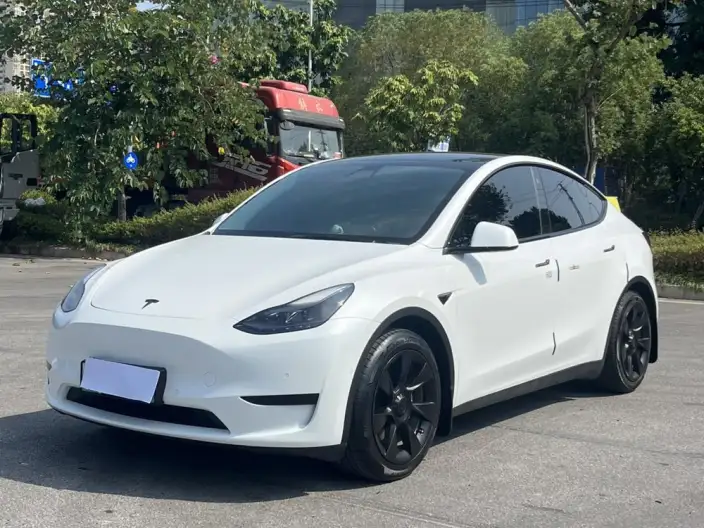 Model Y 2022 Model Rear-wheel drive version – фото 1