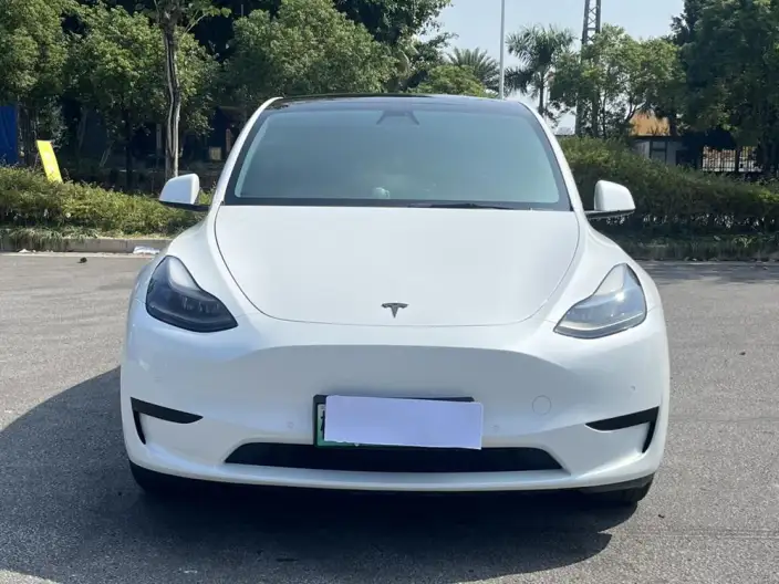 Model Y 2022 Model Rear-wheel drive version – фото 2