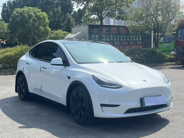 Model Y 2022 Model Rear-wheel drive version – фото 3