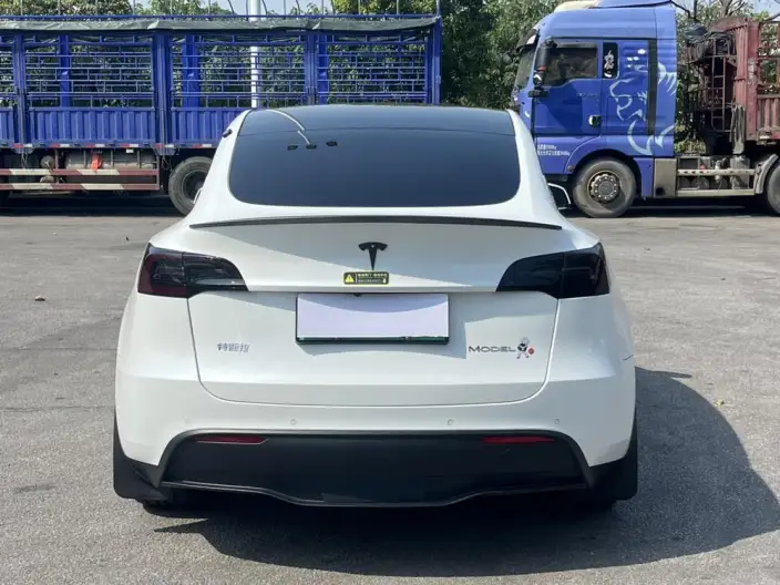 Model Y 2022 Model Rear-wheel drive version – фото 5