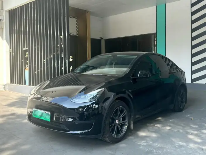 Model Y 2024 Model Rear-wheel drive version – фото 1