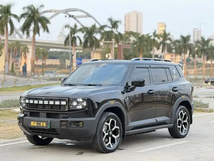 **Jetour Shanhai T1** 2024 Model 2WD Edition – фото 1