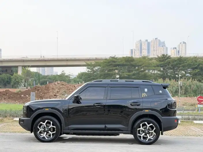 **Jetour Shanhai T1** 2024 Model 2WD Edition – фото 3