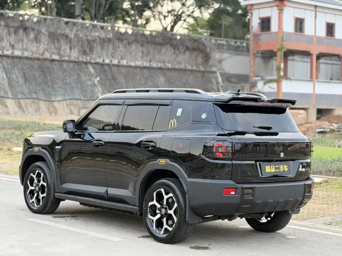 **Jetour Shanhai T1** 2024 Model 2WD Edition – фото 4