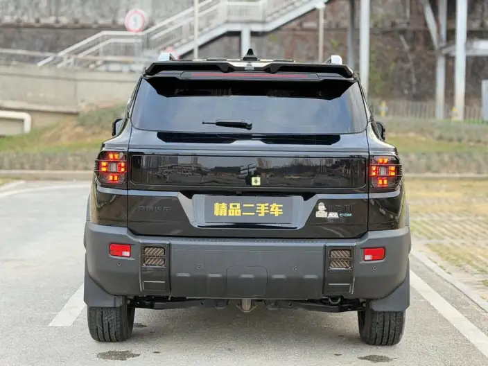 **Jetour Shanhai T1** 2024 Model 2WD Edition – фото 5