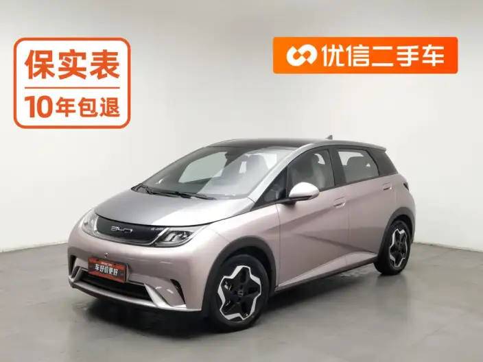 BYD Dolphin 2021 Model Fashion Edition – фото 1
