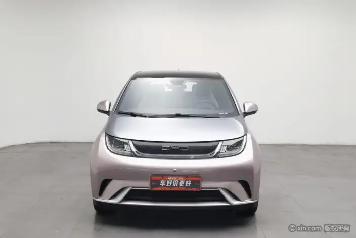 BYD Dolphin 2021 Model Fashion Edition – фото 2