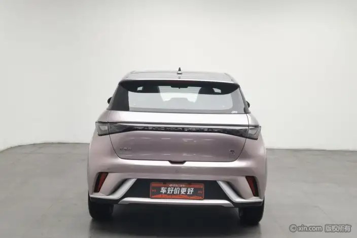 BYD Dolphin 2021 Model Fashion Edition – фото 3