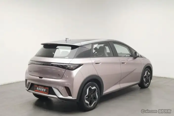 BYD Dolphin 2021 Model Fashion Edition – фото 4