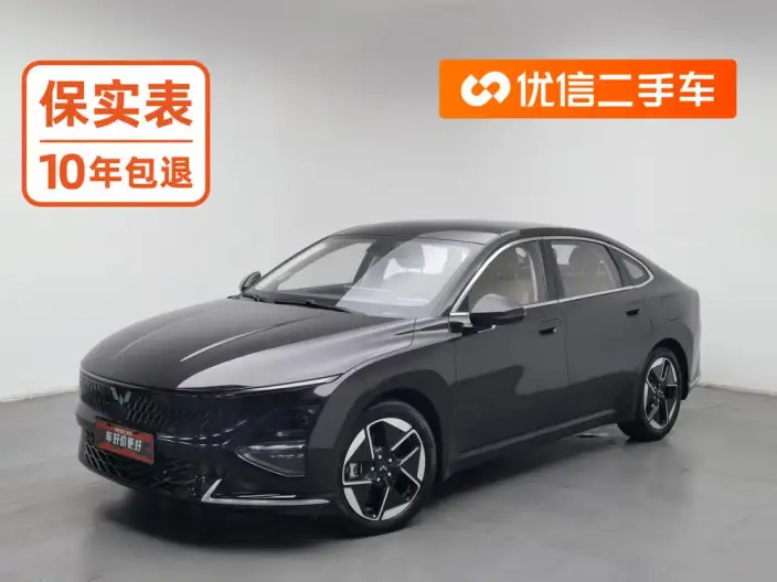 Wuling Xingguang PHEV 2023 Model 150 Advanced version – фото 1