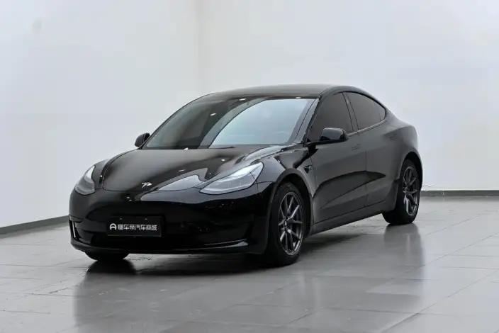 Model 3 2022 Model Rear-wheel drive version – фото 1